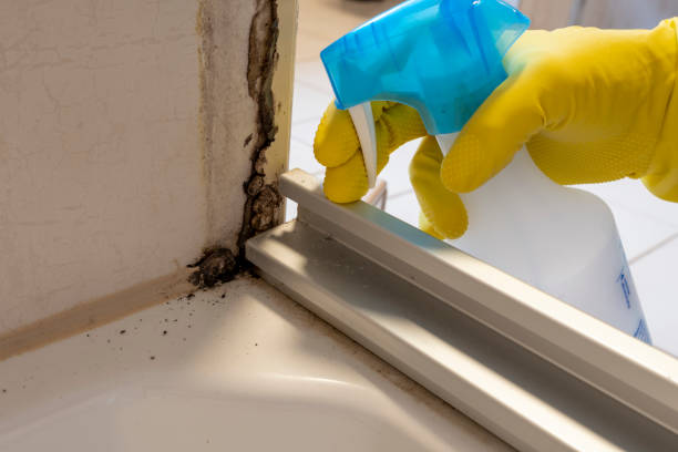 Best Residential Mold Removal  in Hartville, OH